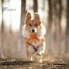 Interactive Cotton Rope Dog Toy Cute Rabbit Bear Giraffe Octopus Shape Dog Chew Toy Bite-resistant Pet Squeaky