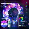 LED String Fairy Light RGBIC Addressable Smart Bluetooth App Controller DIY Christmas Tree Garland Lights USB 5V 5m 10m 20M*2