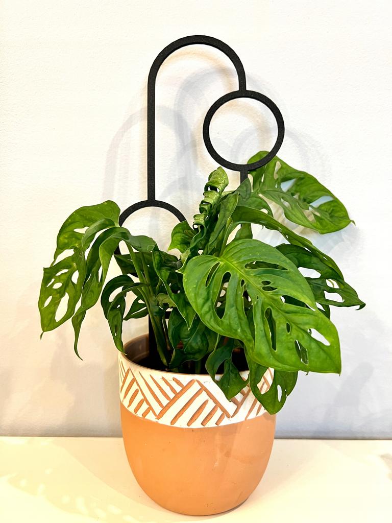 Podpora do roślin pnączy podpórka kwiatów pnących pergola drabinka 38 cm