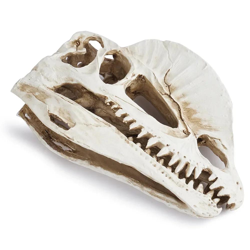 Resin Dinosaur Skeleton Aquarium Decoration Dinosaur Skull Skeleton Ornament Fish Tank Terrarium Decor Halloween Decoration