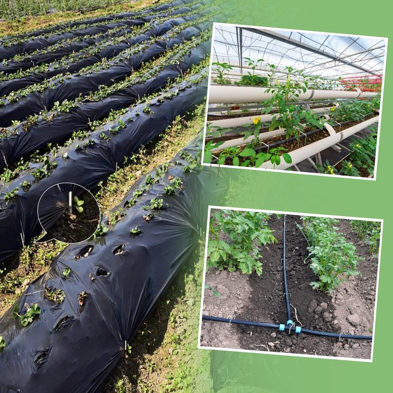 40 шт./компл., фиксированные гвозди для садовой теплицы с 3 отверстиями, набор профессиональных аксессуаров для орошения на открытом воздухе