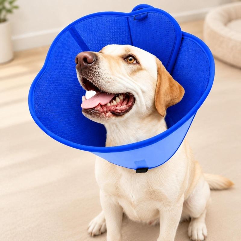 Pet Recovery Collar with Bounded Edges, Wearable Barrier for Care and After-Grooming Pet Recovery, Lick Proof Design