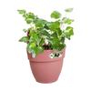 ELHO Pot de fleurs/Balconnière Vibia Campana Easy Hanger Small - Balcon extérieur - L 24.1 x W 20.5 x H 26.5 cm - Rose Poussière
