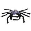 Small To Large Sizes Pet Spider Costume Skull Face Design Halloween Spider Costume  for Party Prop