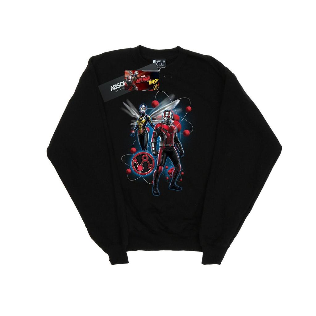 Marvel Womens/Ladies Ant-Man And The Wasp Particle Pose Sweatshirt