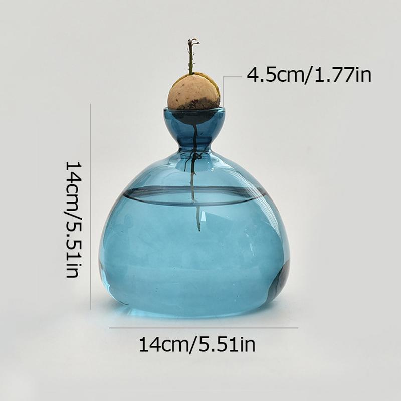 1шт набор для выращивания семян подарок для любителей садоводства домашний декор прозрачная стеклянная ваза