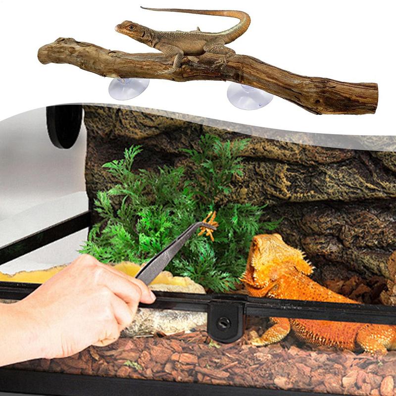 Искусственные ветки Пещера-уголок для рептилий Искусственная ветка Украшение для растения террариума С присоской Амфибия Ящерица Змея Лазание