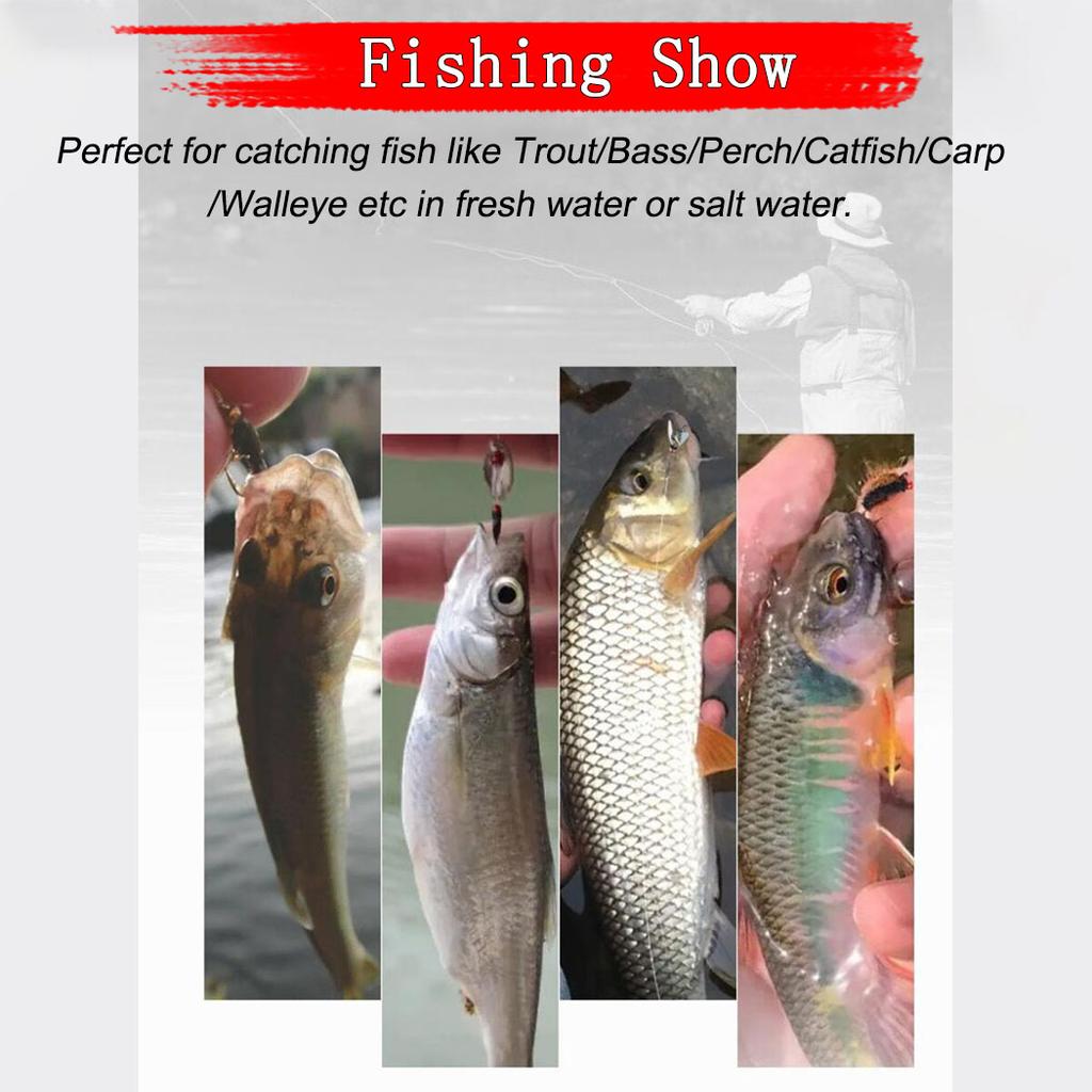 6/10Pcs/Box Biomimetic Wet Fly Flies Fishing Flies Artificial Insect Hook Bait Mosquito&Nymph Fly Fishing Trout Lures