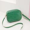New High-end Small Bag, Crocodile Pattern Square Bag, Fashionable and Versatile Women's Shoulder Messenger Bag.