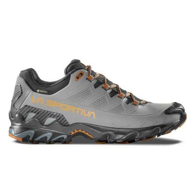 Ботинки для хайкинга Ultra Raptor II Leather Goretex