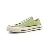 Vitality Green A04587c