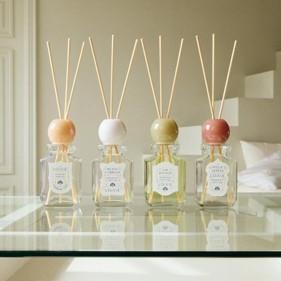 LOiViE Fragrance Diffuser 250ml 4 Types, Choose 1 (stick Not Included/sold Separately)