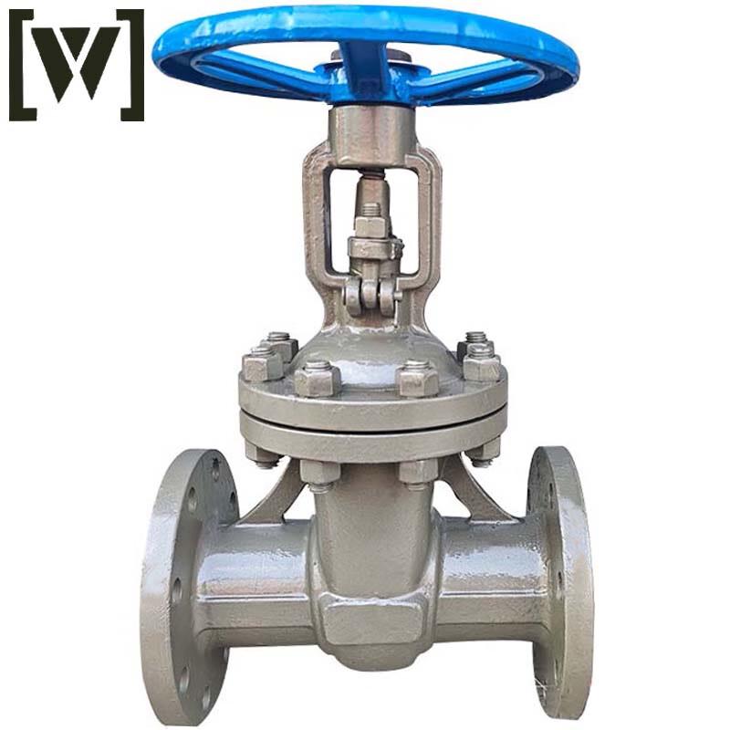 W Baipu Flanged Gate Valve Z41H-16C