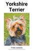 Книга Yorkshire Terrier