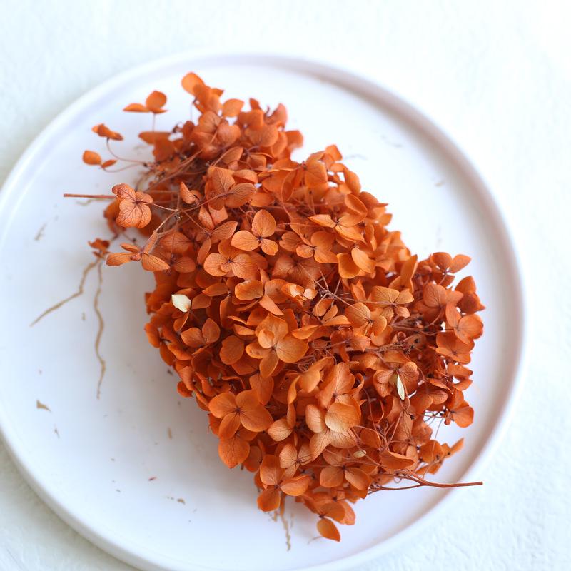 Dried Real Flowers & Materials: Pine Cones, Acorns, Cotton, Adhesives, Sunflowers - DIY Scented Floral Decor & Photography Props