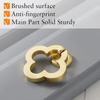 4/8pcs Gold Zinc Cabinet Knobs, Modern Decorative Pulls for Doors, Closets, Dressers & Cabinets with Screws