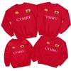 Welsh Cymru Flag Badge Daffodil Saint Davids Day Sweatshirt Football Jumper#STDD