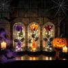Romantic Spooky Festival Gift Halloween Indoor Light Up Rose in Plastic Dome Cloche, Artificial Preserved Flower Shadow Night with Spider Pumpkin