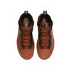 Nike ACG Zoom Gaiadome GORE-TEX Cinnamon Black Men Sneakers Brown Mars-Stone Mosswood-Brown DD2858-203