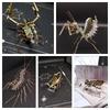 Панк Модель Насекомого Набор для Сделай Сам: 3D Богомол и Скорпион - Креативный подарок ручной работы для детей