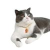 Отличный неаллергенный смоляной ошейник для кошек, мультяшный кулон, стильная цепочка на шею для домашних животных, подарок на день рождения