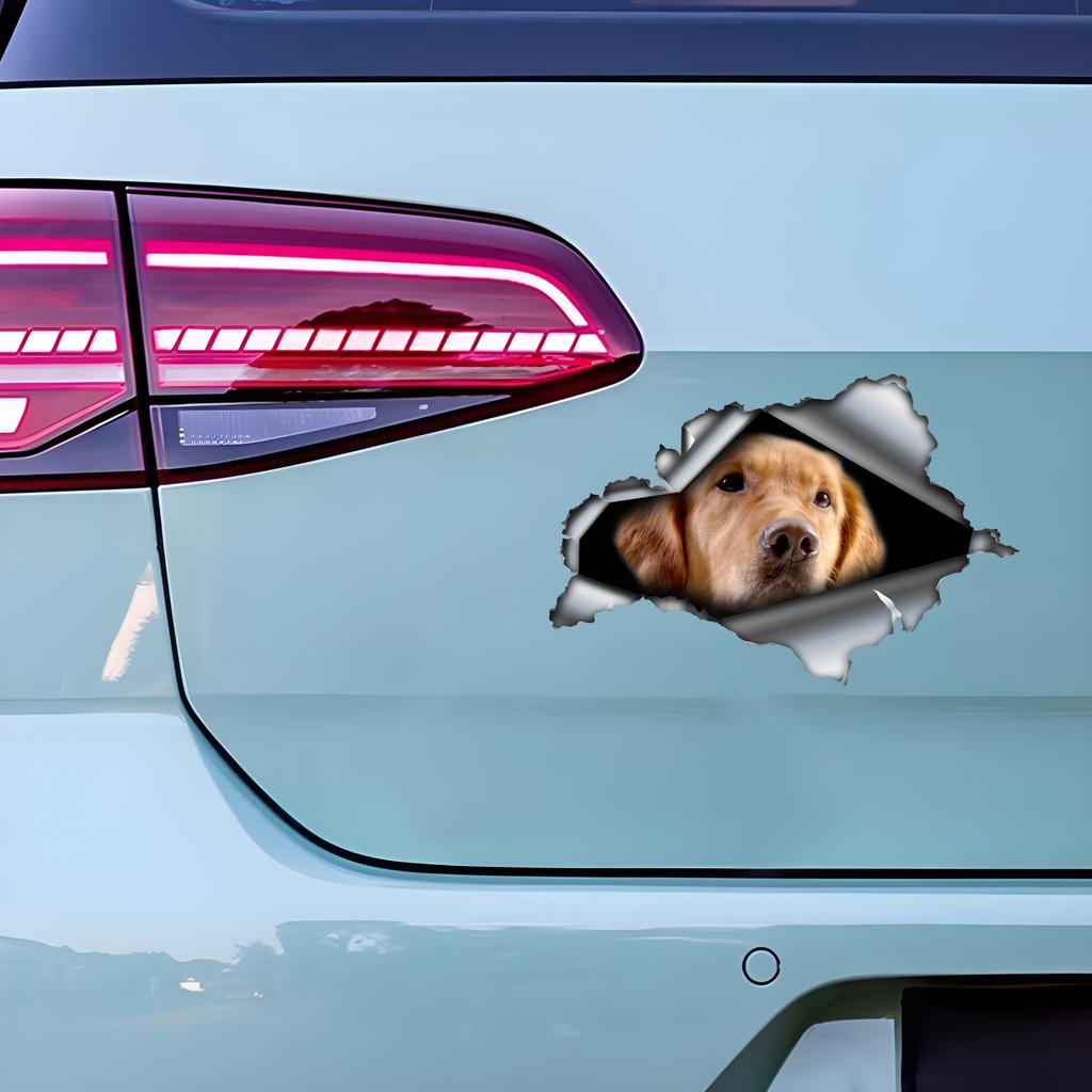 Golden Retriever 3D Vinyl Car Sticker, Fun Insurance Bumper Sticker for Cars, Trucks, Motorcycles, Walls, Windows, PVC Material