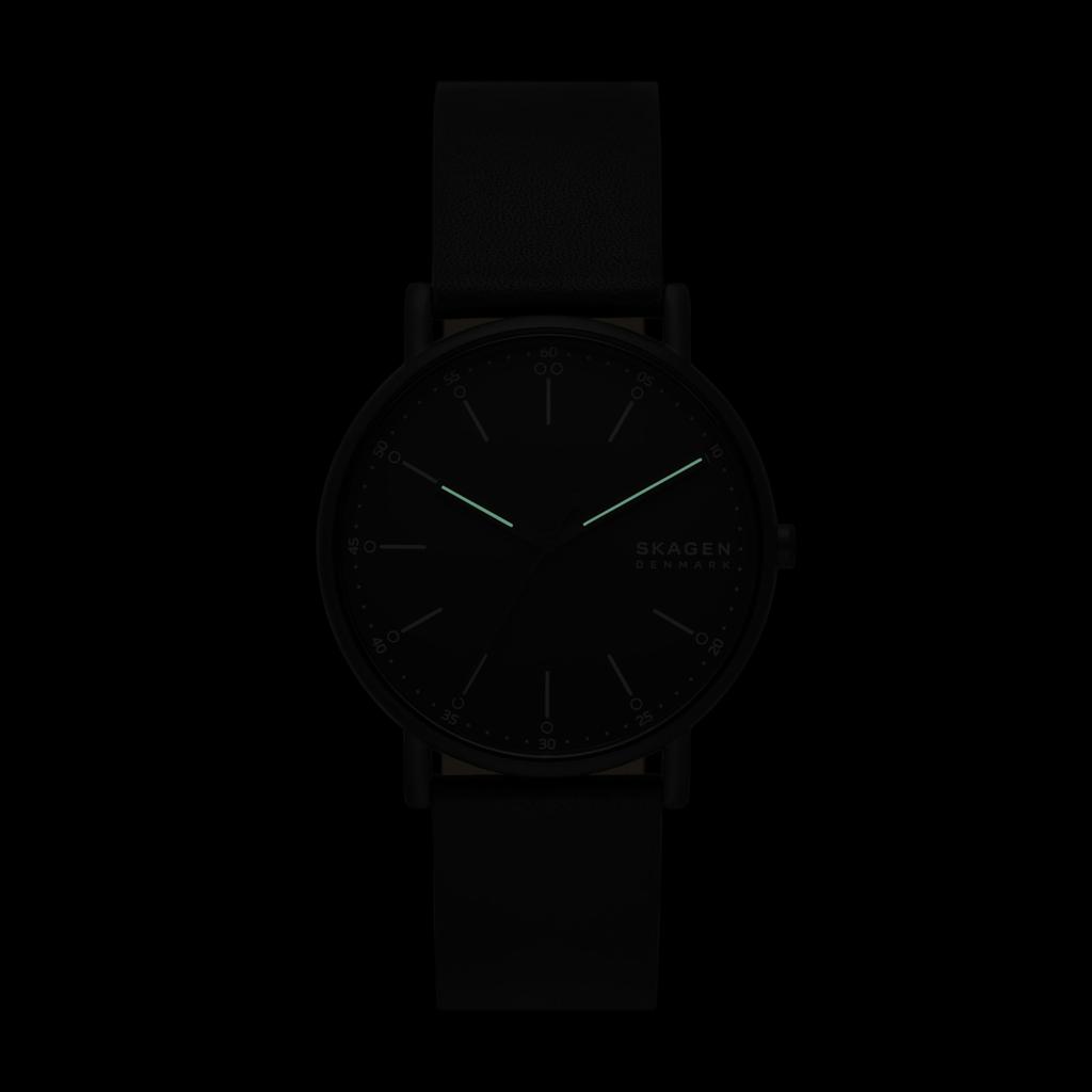 Watch Signatur SKW6902 [Skagen]