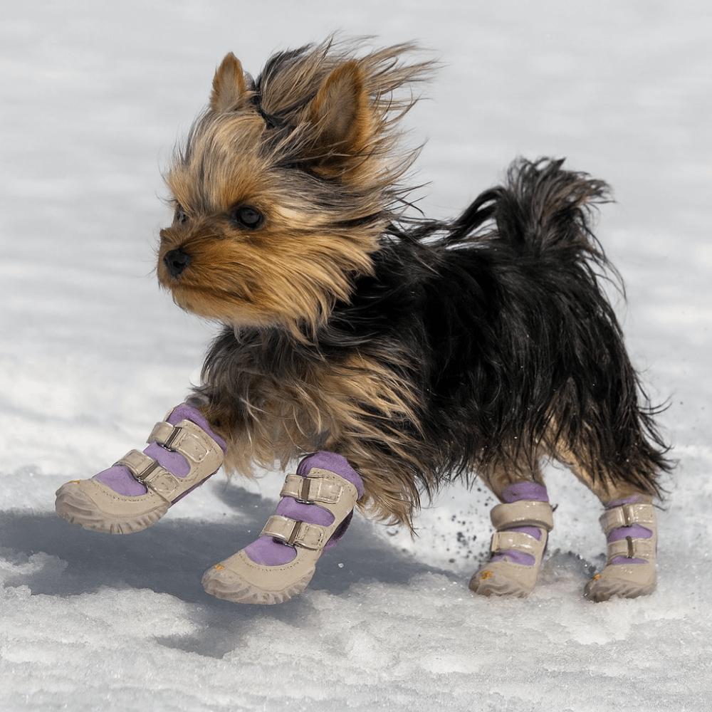 4pcs/set Breathable Winter Dog Boots Warm Non-Slip Dog Shoes Fashion Pet Sneakers for Puppy Dogs