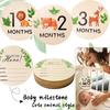 Wooden Baby Milestone Month Marker Photo Prop - DIY Round Plaque Set