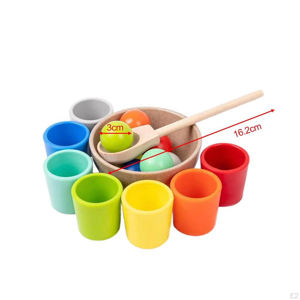 Montessori Toys Set Color Sorting Practical Party Game Counting Matching for