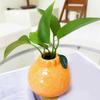 Orange Shape Ceramic Vase for Home Living Room Decor Dried Flower Vase Flower Arrangement Decoration Shooting Props