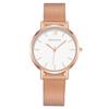 Fashion Roman Pattern Nordic Simple Ladies Watch Women's Watch Milan Strap Mesh Strap