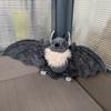 Fluffy Halloween Stuffed Animal PP Cotton Home Decor Ornament Adorable Big Wing Bat  Daily