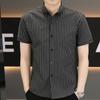 Senior Sense Shirt Men's Short-sleeved Trend Handsome Light Luxury Spring and Summer New Business Casual Striped Shirt