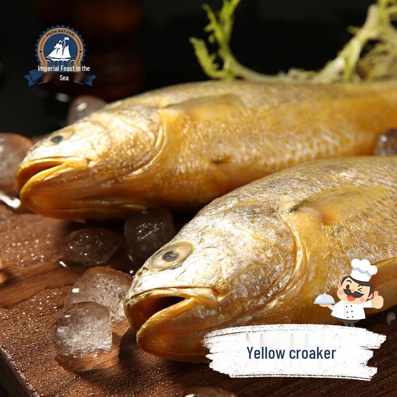 Sea Feast Premium Seafood Combo Gift Box