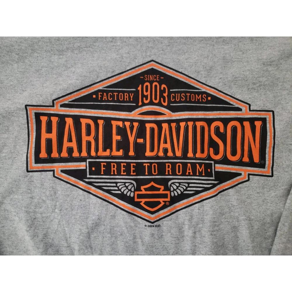 Совершенно новая последняя модель мужской футболки с длинным рукавом Harley-Davidson, серо-бело-черная колор-блок с принтом логотипа, круглый вырез, приталенный крой, мото-стиль