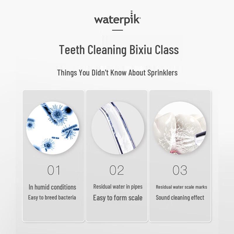 Waterpik Насадки для ирригатора сменные, штекер CN (адаптер в комплекте)