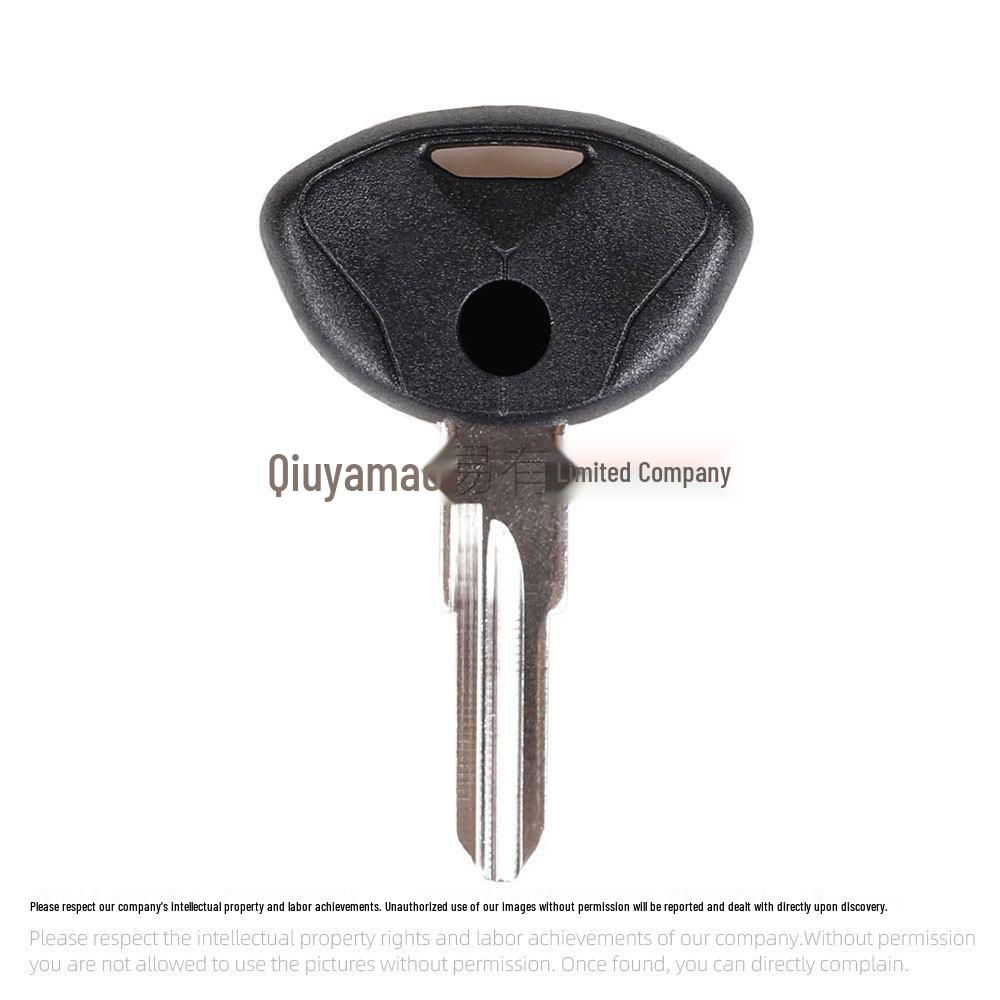 BMW Motorcycle Key Blank for C1, C600, C650GT Pedals - Chip Compatible