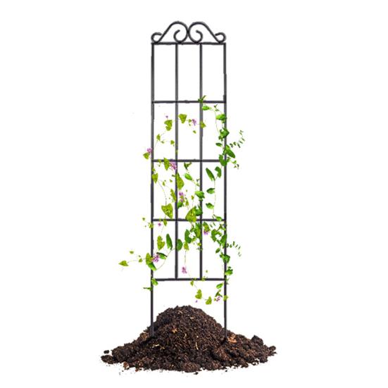 Металлическая садовая шпалера Рама для вьющихся растений Шпалера Декоративная опора для растений для клематисов роз для использования на открытом воздухе в помещении