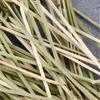 100pcs Household Kitchen & Bar Party Decoration Stick Cocktail Picks Bamboo Knot Skewers Fruit Forks