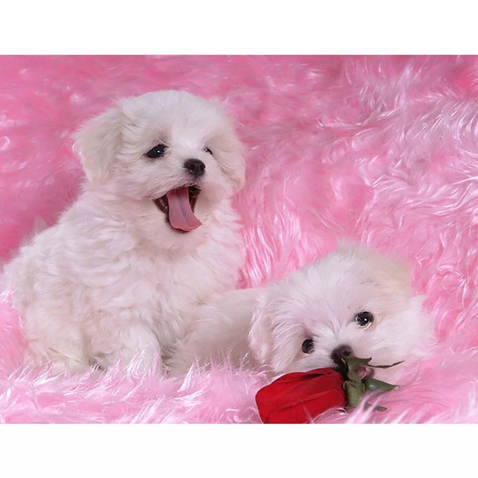 5D DIY алмазная живопись полная квадратная/круглая дрель стразы мозаика корабль лодка Алмазная вышивка наборы крестиков домашний декор