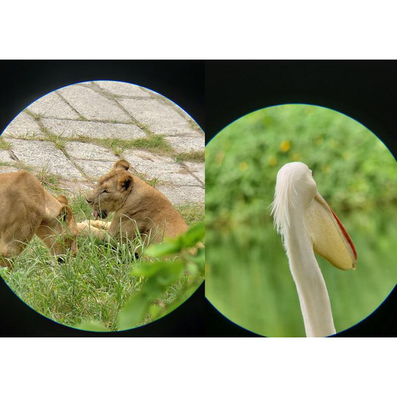 Telescope 8-24x50/9-27x56 Birdwatching Mirror Ultra-low Dispersion Phase Corrected Coating Powerful Monocular Telescope