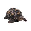 Ubia Star Turtle X 10 X Cm Doll Figure Ornament Animal Garden Decoration Turtle H14010 (Medium) 13.5 6.5
