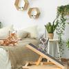 Dog Ramp Wooden Stairs 70 Cm With Height Adjustment [M-Rampa1]