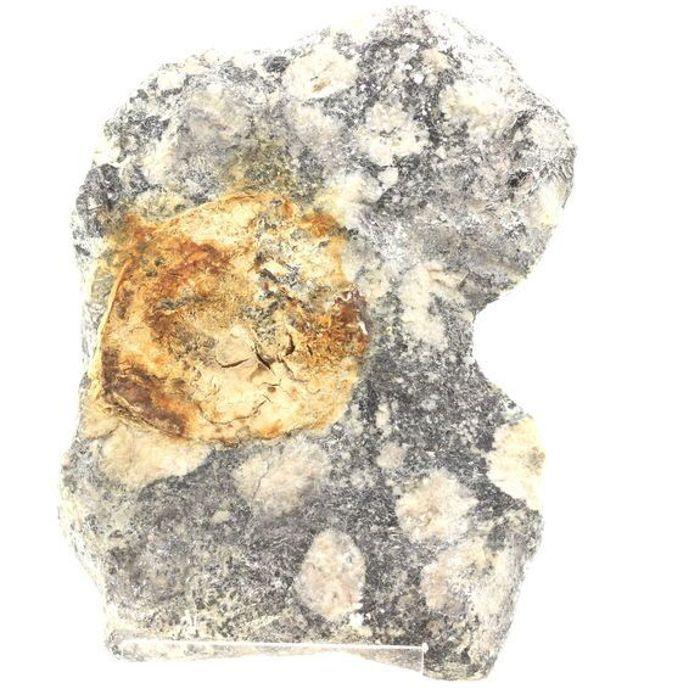 Pierres et Minéraux. Diorite Orbiculaire. 2162.20 ct. Sainte-Lucie-de-Tallano, Corse-du-Sud, France.