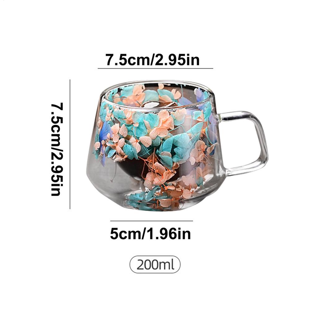 200ml Double Wall Glass Cup Clear Dried Flowers Glass Tea Cup Double Wall Glass Dried Flowers Tea Cup Heat Resistant Tea Cups