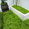 30/100 г Искусственный Зеленый Мох Поделки для DIY Комнатные Растения Сказочные Сады Центральные Элементы Стола Аквариумы Микроландшафт Декоративный Искусственный Мох