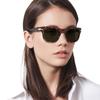 PO 3269S Унисекс Солнцезащитные очки [Persol] ГАВАНА/ЗЕЛЕНЫЙ 52/20/145