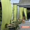 Chinese Style Calligraphy Gauze Curtain: Green Chiffon Wedding Drape and Background Fabric