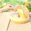 Safe Door Lock Small Animal Carrier Cage Water Bottle Small Pet Carrier  Camping